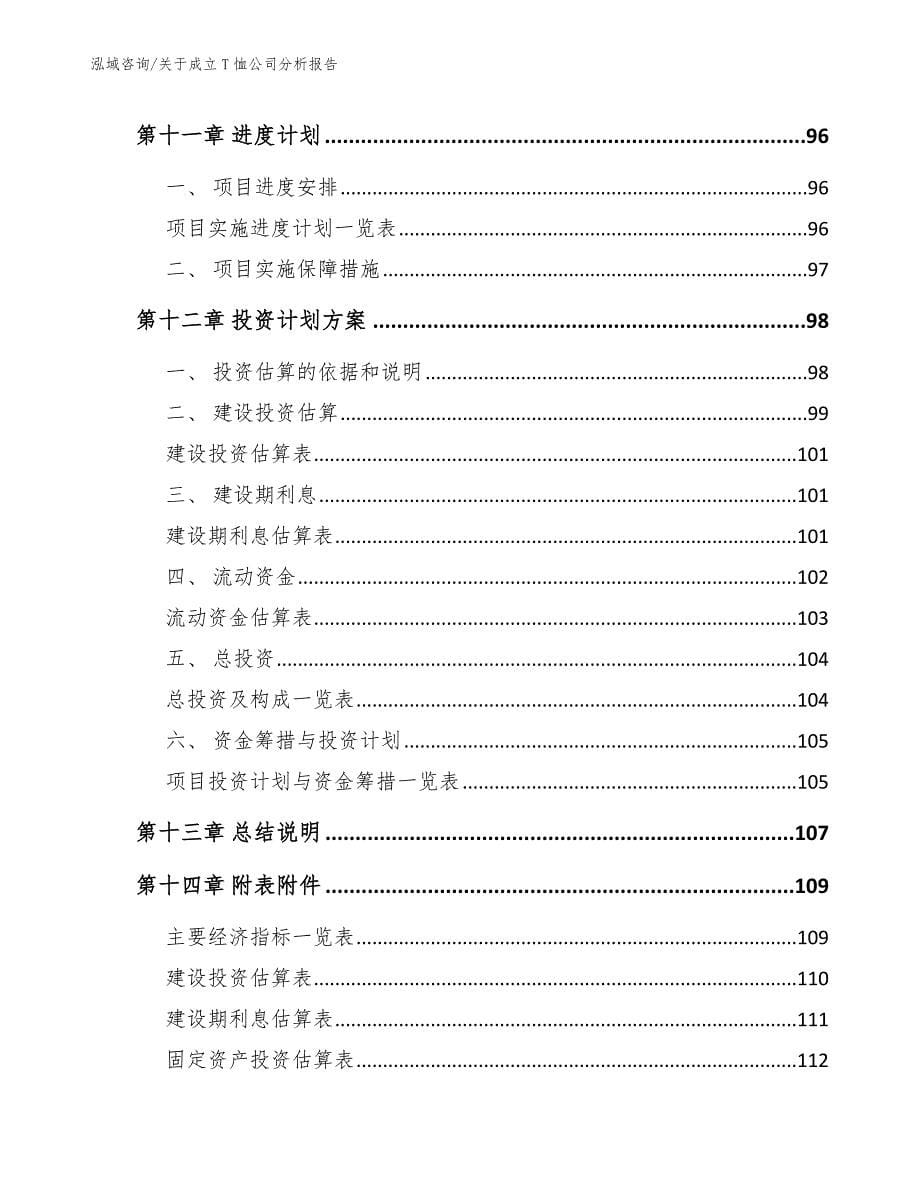 关于成立T恤公司分析报告范文模板_第5页