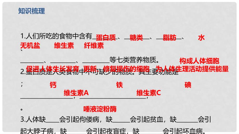 中考生物一轮复习 第13讲 人体的营养课件_第3页