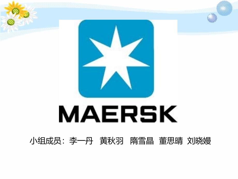 Maersk集装箱_第1页