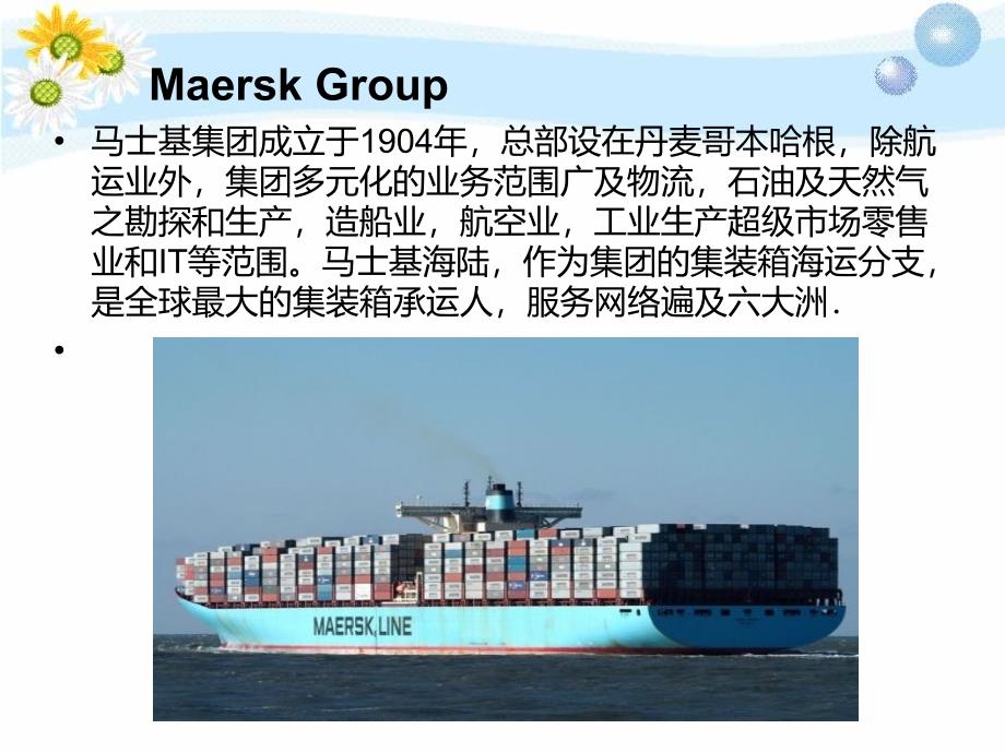 Maersk集装箱_第3页