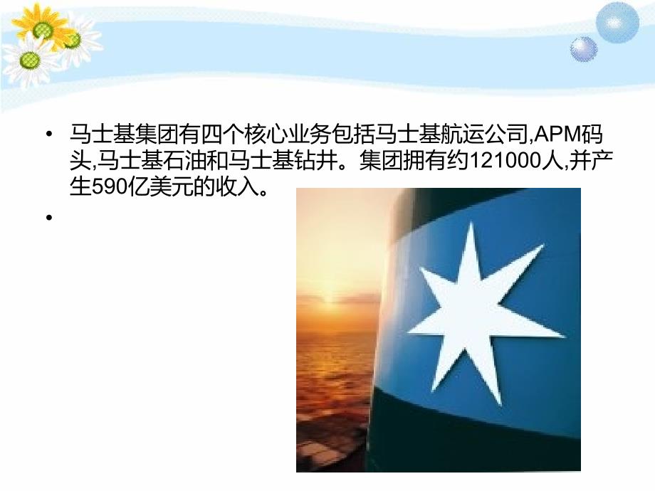 Maersk集装箱_第4页