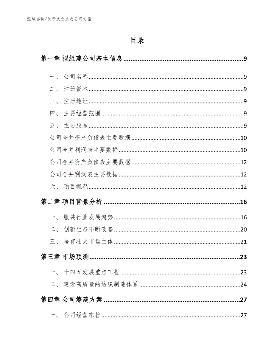 关于成立皮衣公司方案_模板_第2页