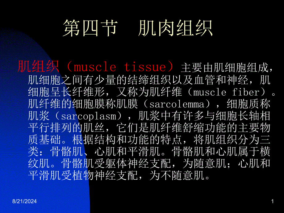 《肌肉组织》PPT课件_第1页