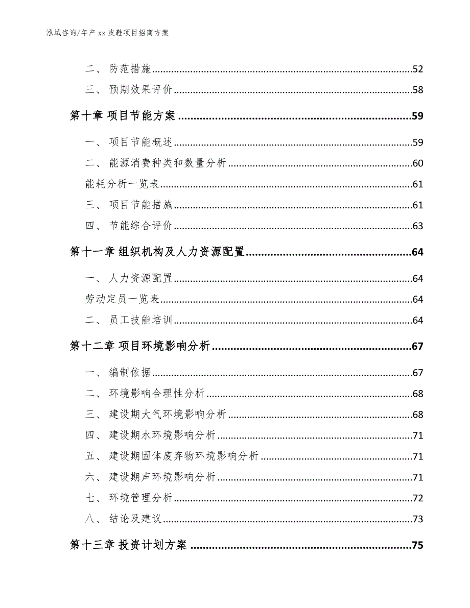 年产xx皮鞋项目招商方案_第4页