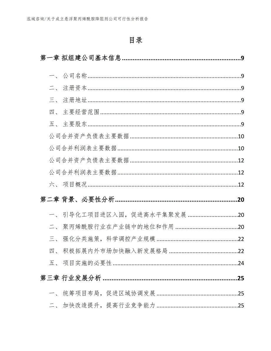 关于成立悬浮聚丙烯酰胺降阻剂公司可行性分析报告_模板_第2页