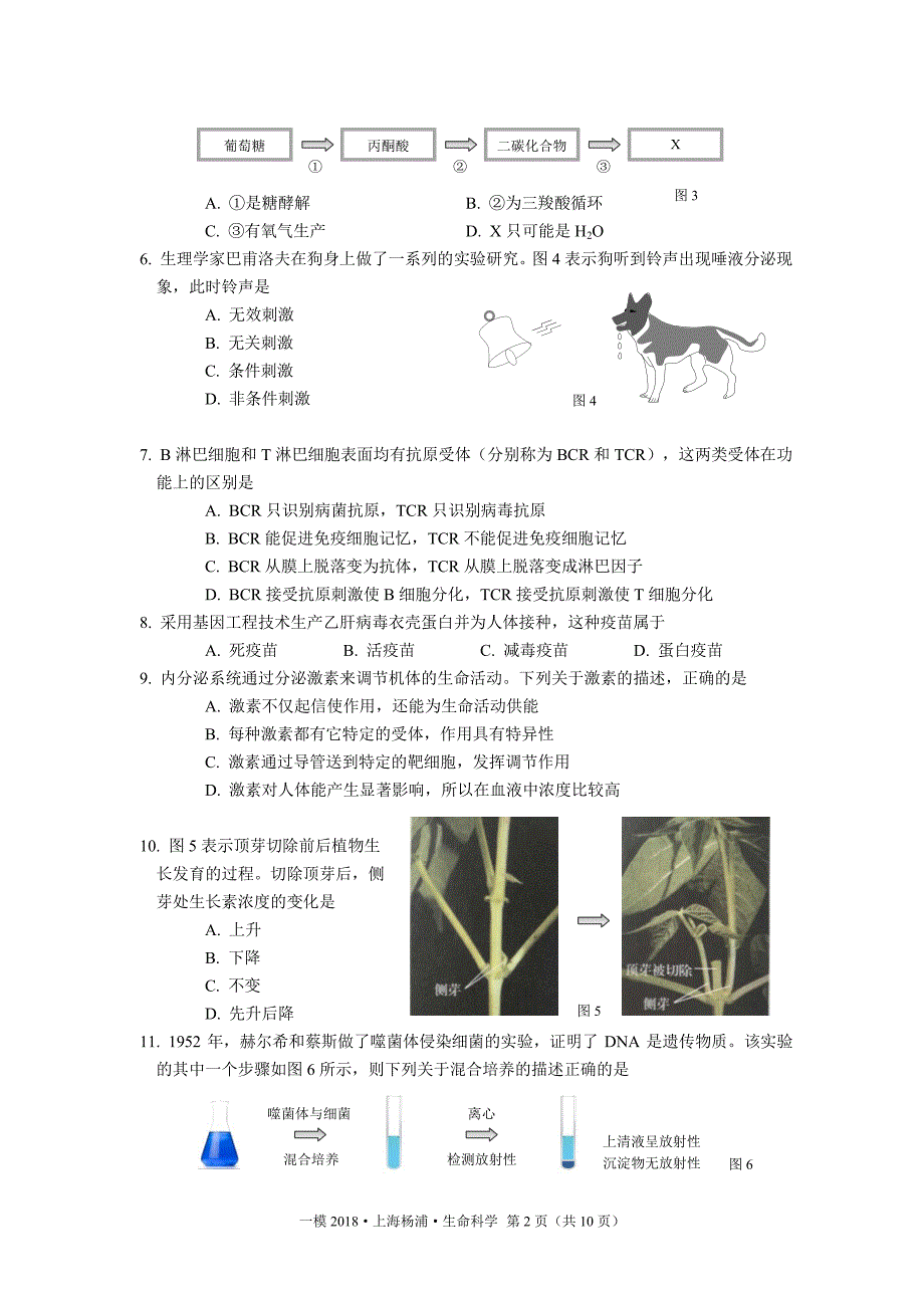 2018年上海杨浦生命科学一模试卷及答案.pdf_第2页