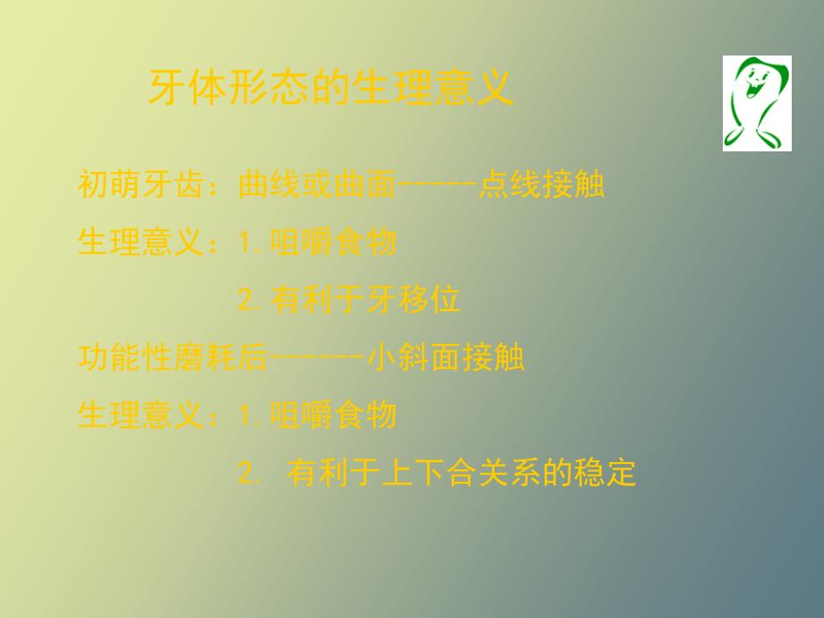 牙体形态的生理意义_第4页