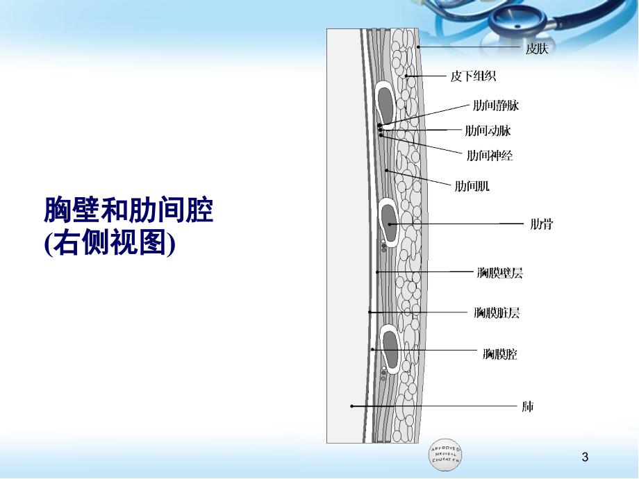 优质医学肺外科治疗方式模板_第3页