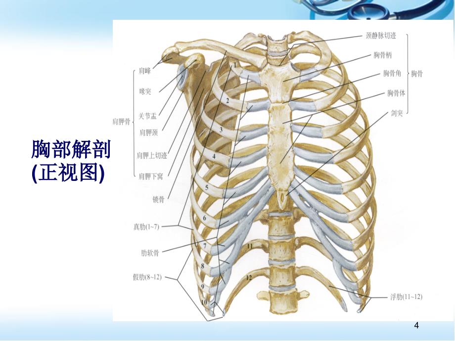 优质医学肺外科治疗方式模板_第4页