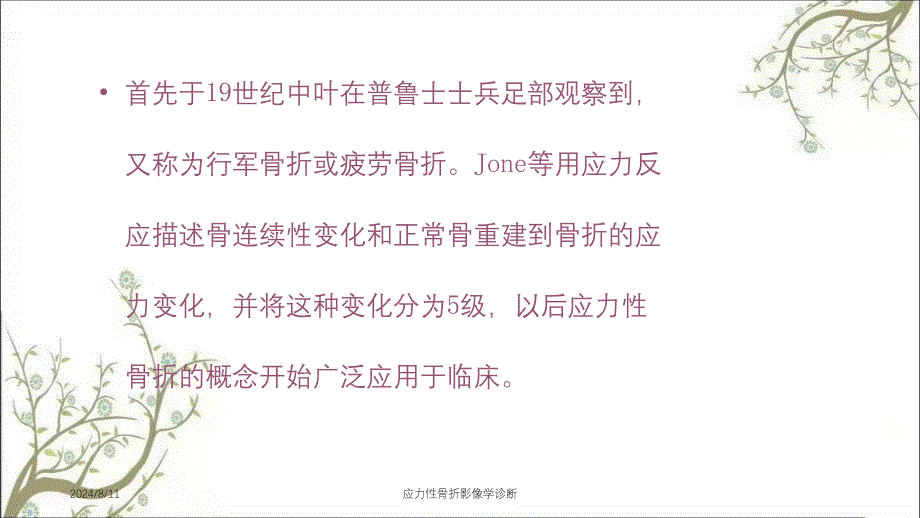 应力性骨折影像学诊断_第3页