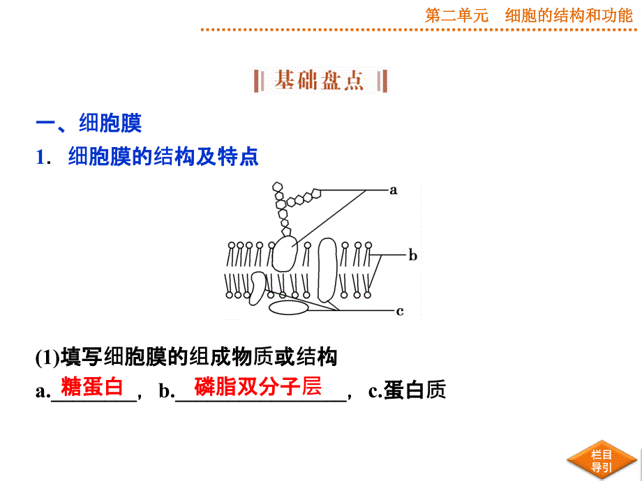 优化方案高考生物苏教版第5讲细胞的类型和结构一——细胞膜、细胞壁与细胞核_第4页