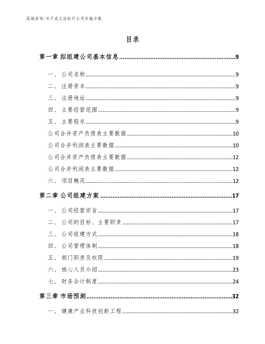 关于成立浴缸灯公司实施方案_第2页