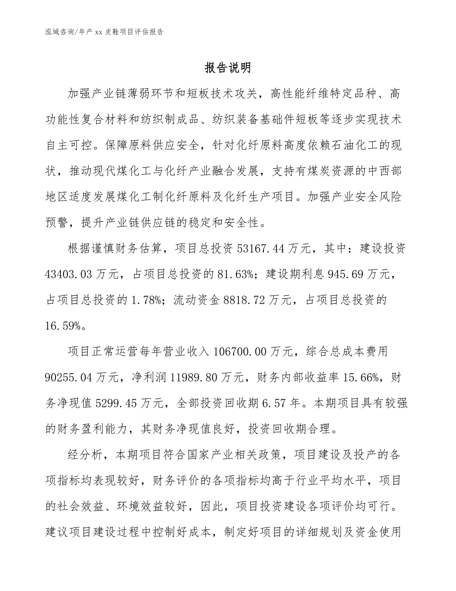 年产xx皮鞋项目评估报告_第2页