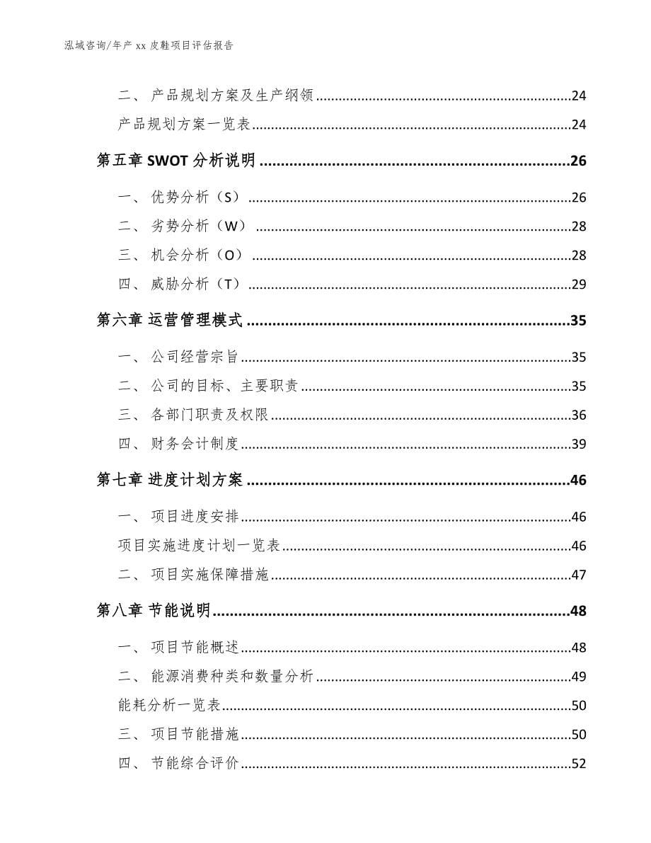 年产xx皮鞋项目评估报告_第5页