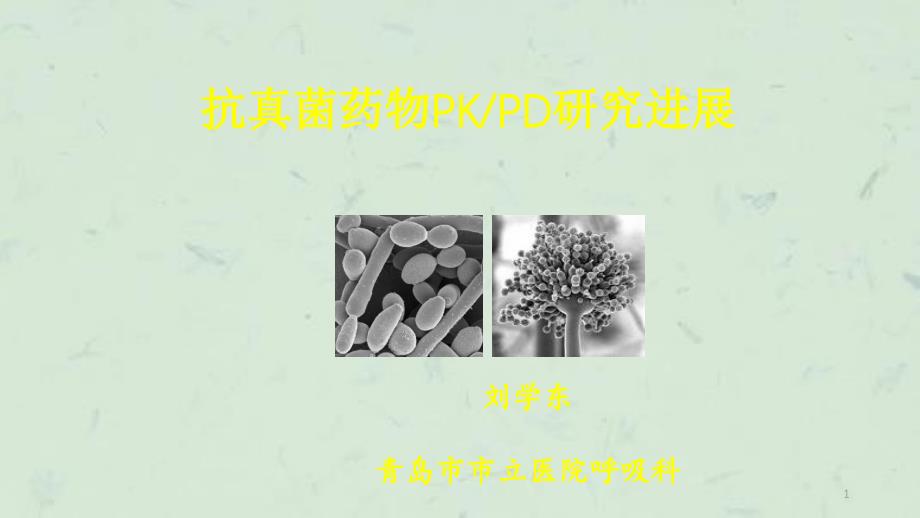 抗真菌药物PKPD课件_第1页