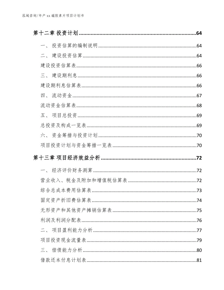 年产xx磁胶素片项目计划书（参考模板）_第4页