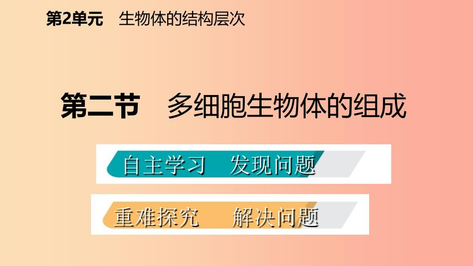 2019年七年级生物上册第二单元第四章第二节多细胞生物体的组成课件新版苏教版.ppt_第2页