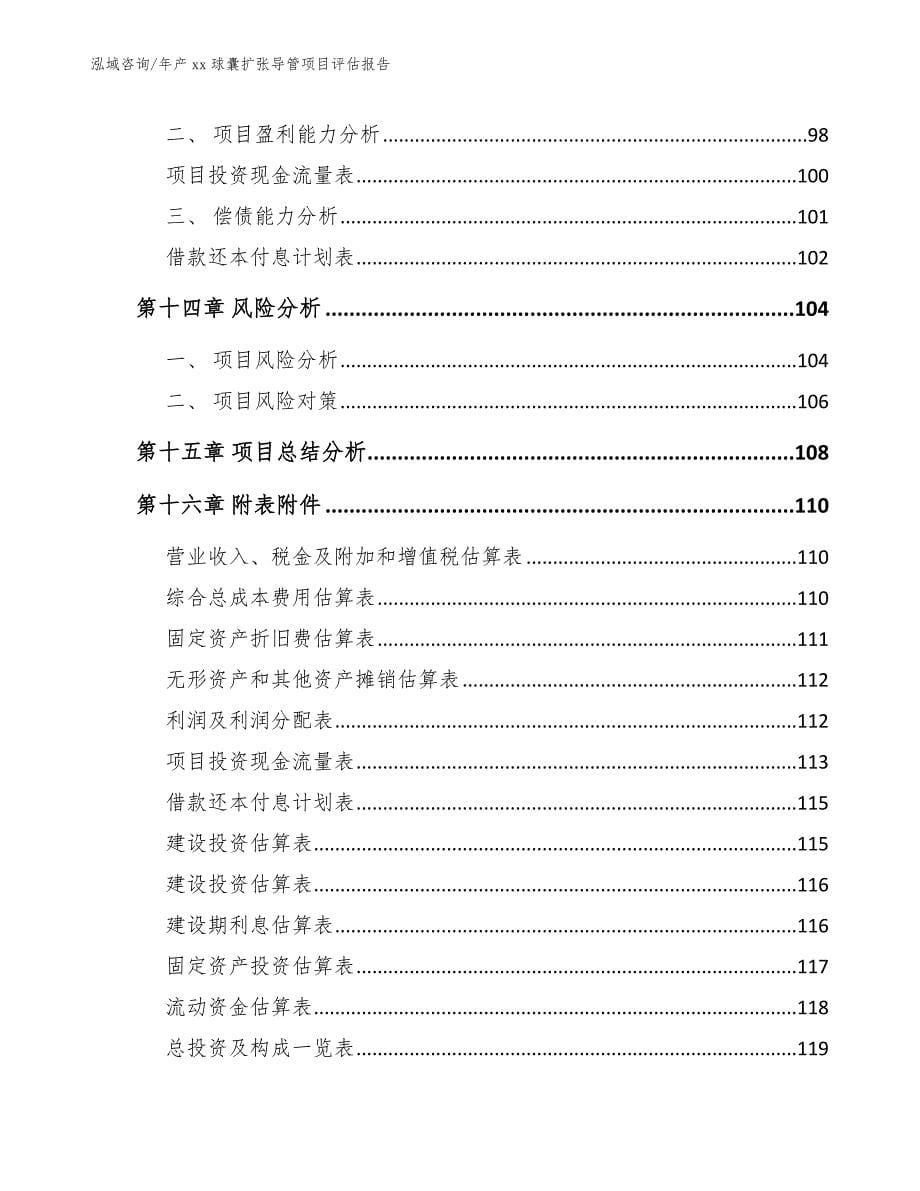 年产xx球囊扩张导管项目评估报告【模板范本】_第5页