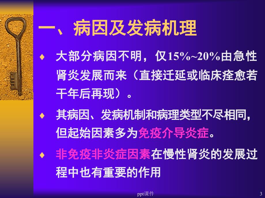 慢性肾炎课件_第3页