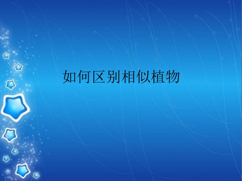 相似植物如何区别.ppt_第1页
