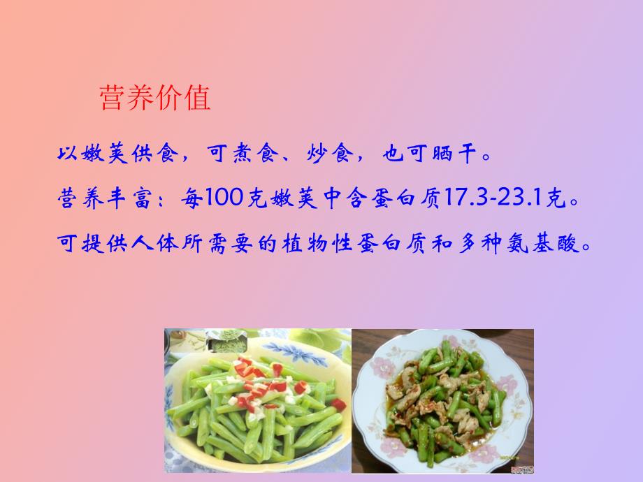 设施菜豆栽培_第4页