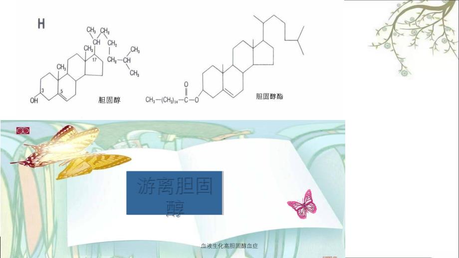 血液生化高胆固醇血症_第3页