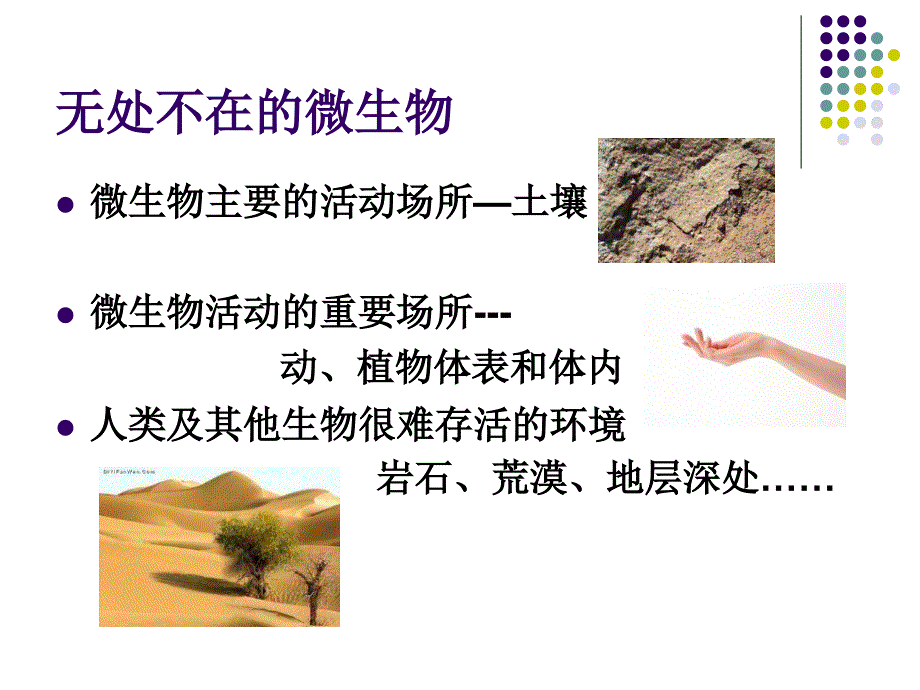 生活中的微生物_第4页