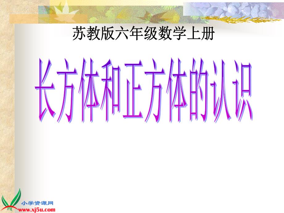 苏教版数学六年级上册长方体和正方体的认识PPT课件2_第1页