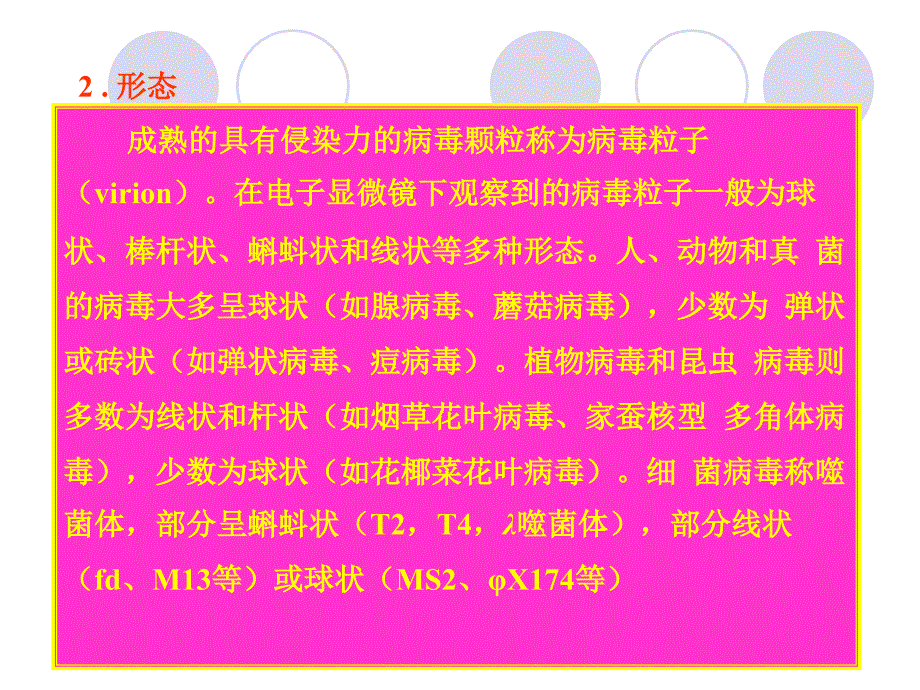 病毒是一类超显微的非细胞生物每一种病毒只含有一种核名师编辑PPT课件_第4页