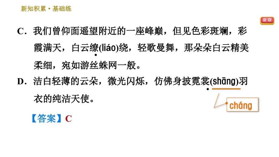 人教版八年级下册语文习题课件 第5单元 19.登勃朗峰0_第5页