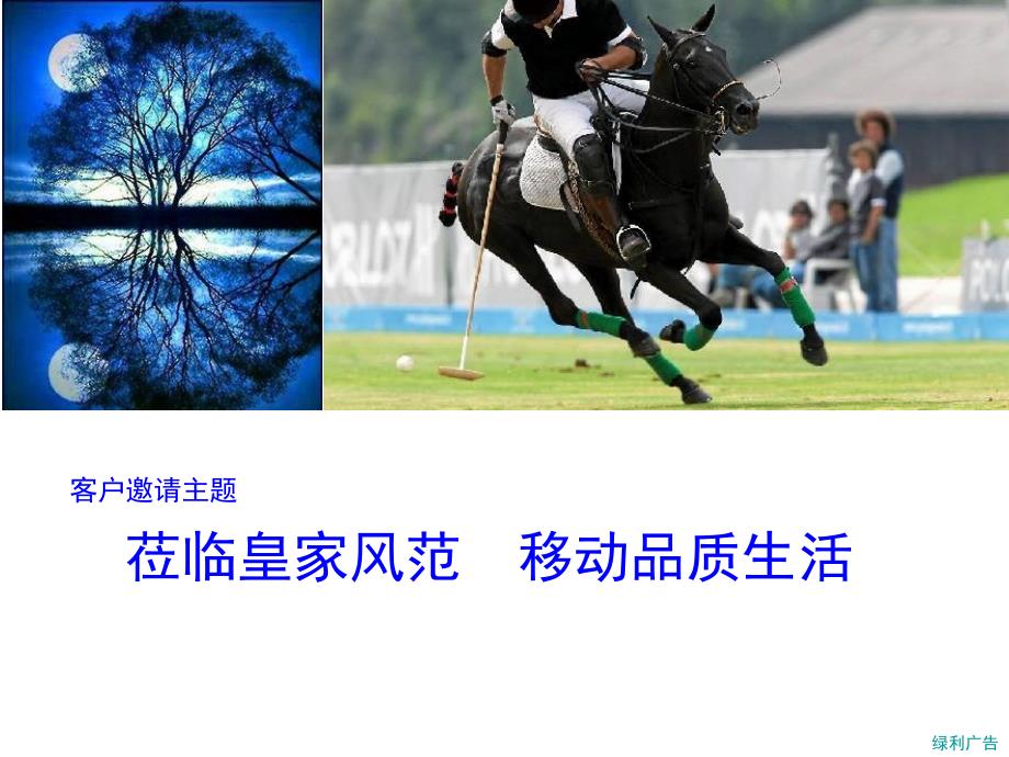 年终客户答谢及业务推介活动策划案(海钓、马球、中式怀旧晚宴、西式鸡尾酒会、悦尚派对)_第2页