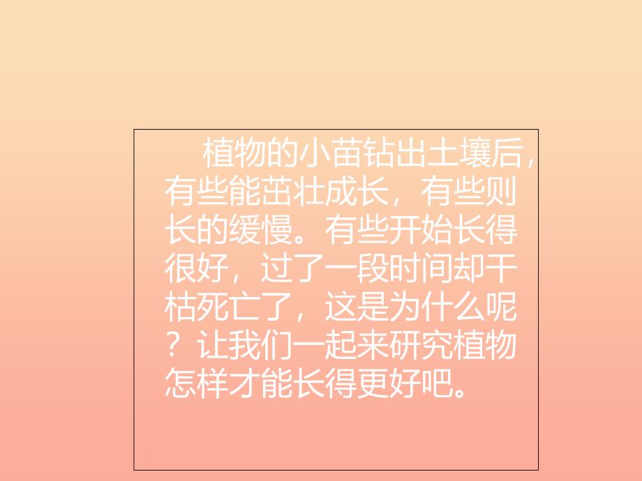 2019年五年级科学上册第3课怎样使植物长得更好课件3冀教版.ppt_第2页