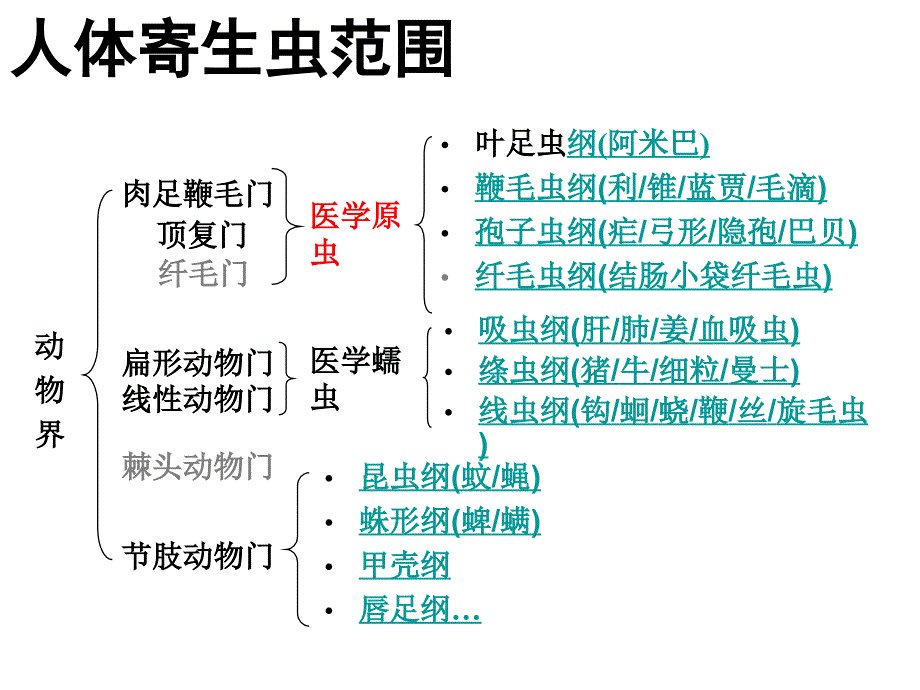 医学寄生虫学：原虫概论、阿米巴、利什曼原虫和阴道毛滴虫_第4页