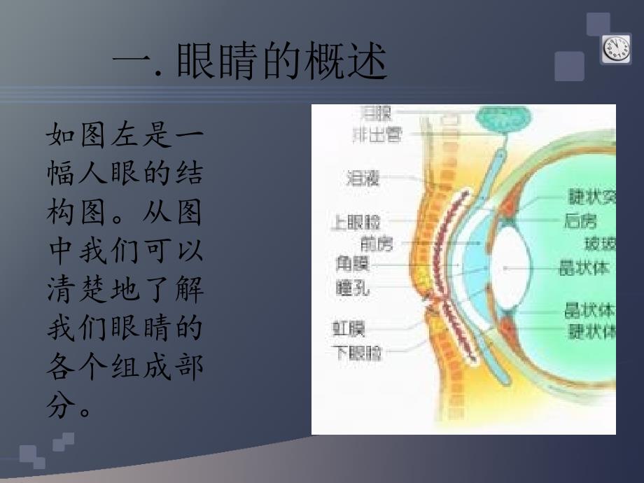 《眼睛是心灵的窗户》PPT课件.ppt_第3页