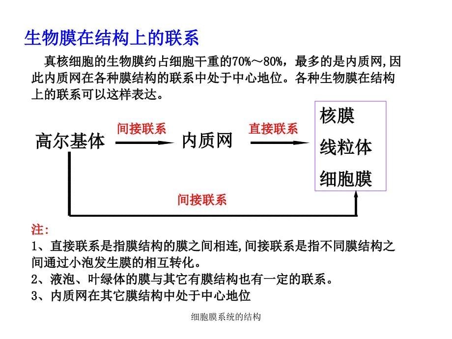 细胞膜系统的结构_第5页