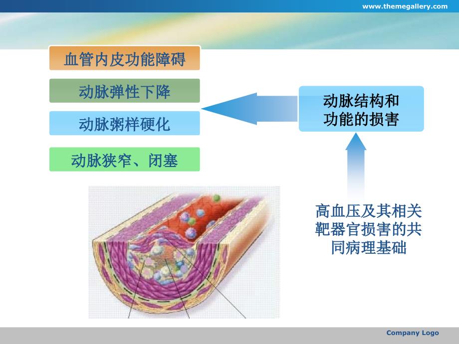 降压治疗对循环内皮微颗粒水平与动脉弹的影响_第4页