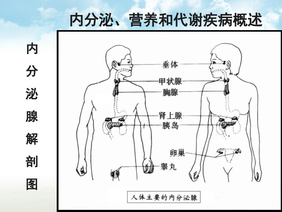 医学信息学论文ICD10第四章内分泌营养和代谢疾病_第4页