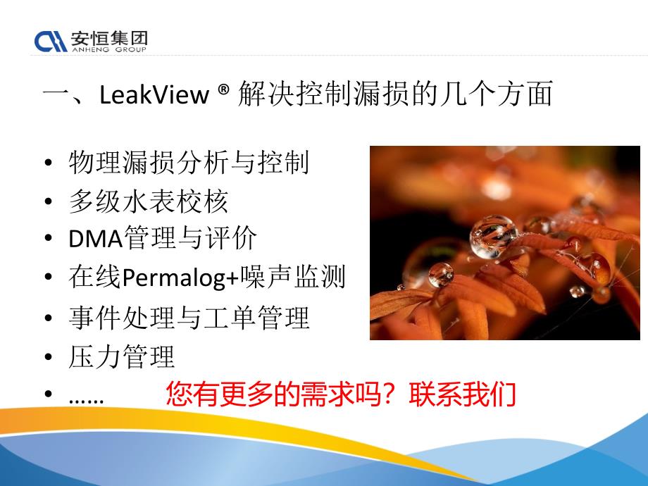 leakview管网漏损控制系统应用案例分析 ppt课件_第4页