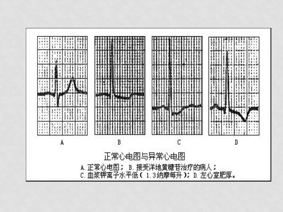 北师大密云实验中学 郑翠玲 李艳匀速直线运动的位移时间图像_第5页