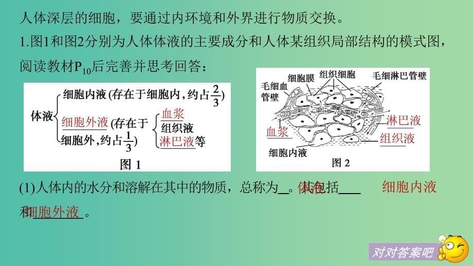 2018-2019版高中生物 第2章 生物个体的内环境与稳态 第1节 人体的代谢与稳态 第1课时课件 北师大版必修3.ppt_第5页