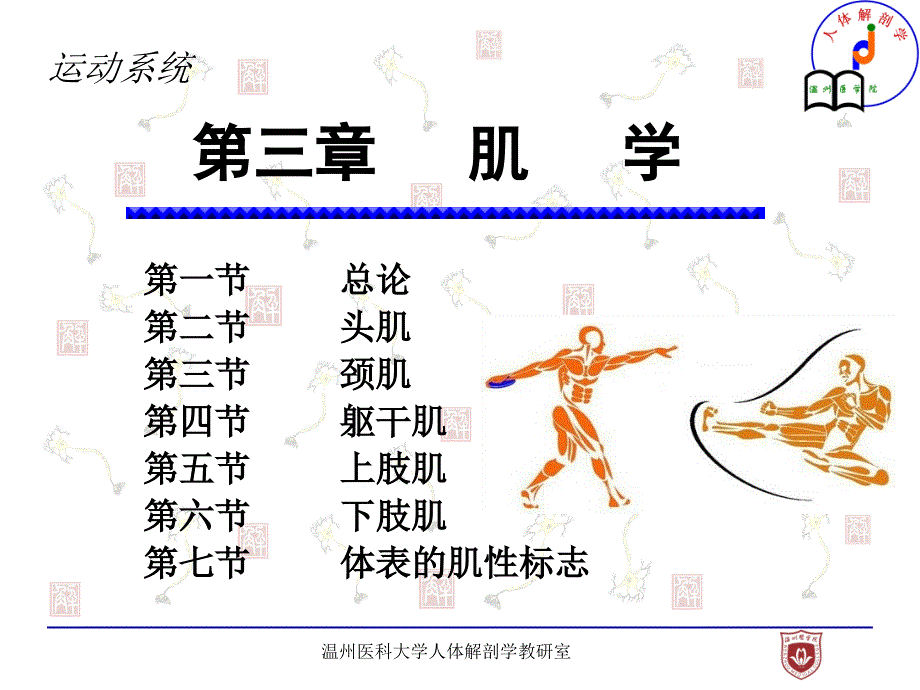 《系统解剖学》教学课件：003- 肌学_第1页