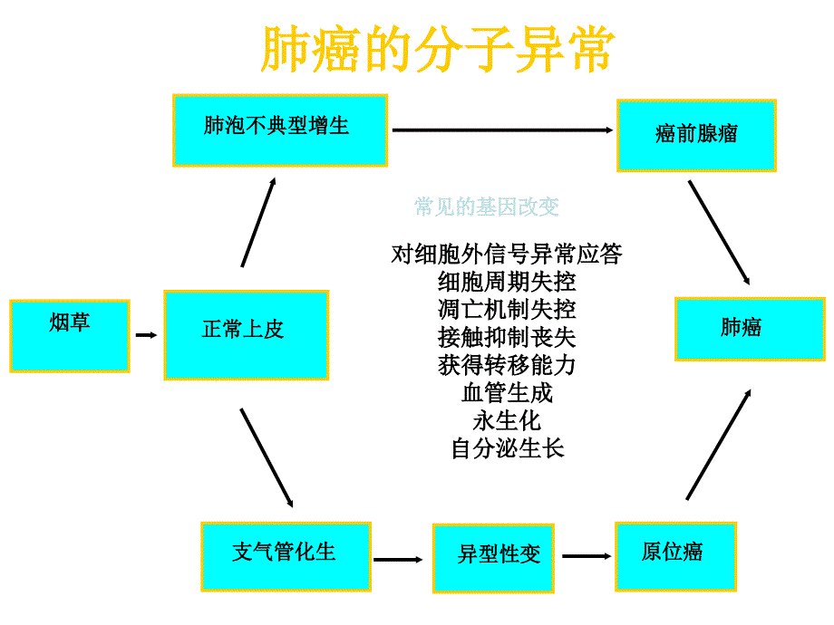 《肺癌的内科治疗》PPT课件_第4页