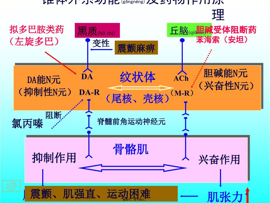 抗帕金森药课件_第4页