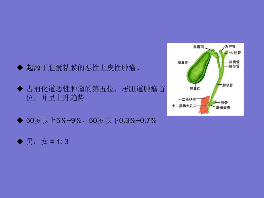 胆囊癌的CT诊断_第4页