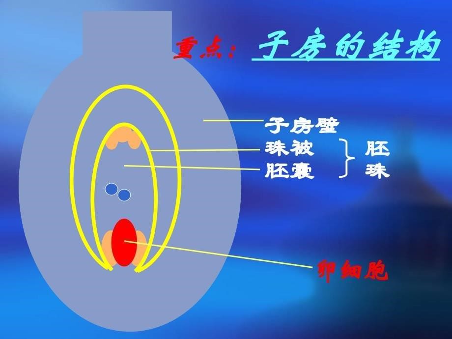 《植物的生殖》PPT课件_第5页