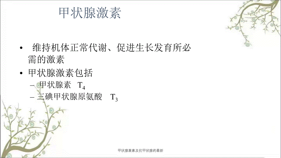 甲状腺激素及抗甲状腺药最新课件_第4页