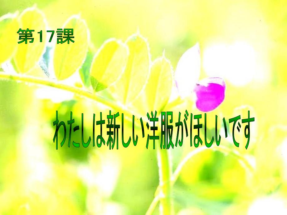 新标日初级上第17课_第1页