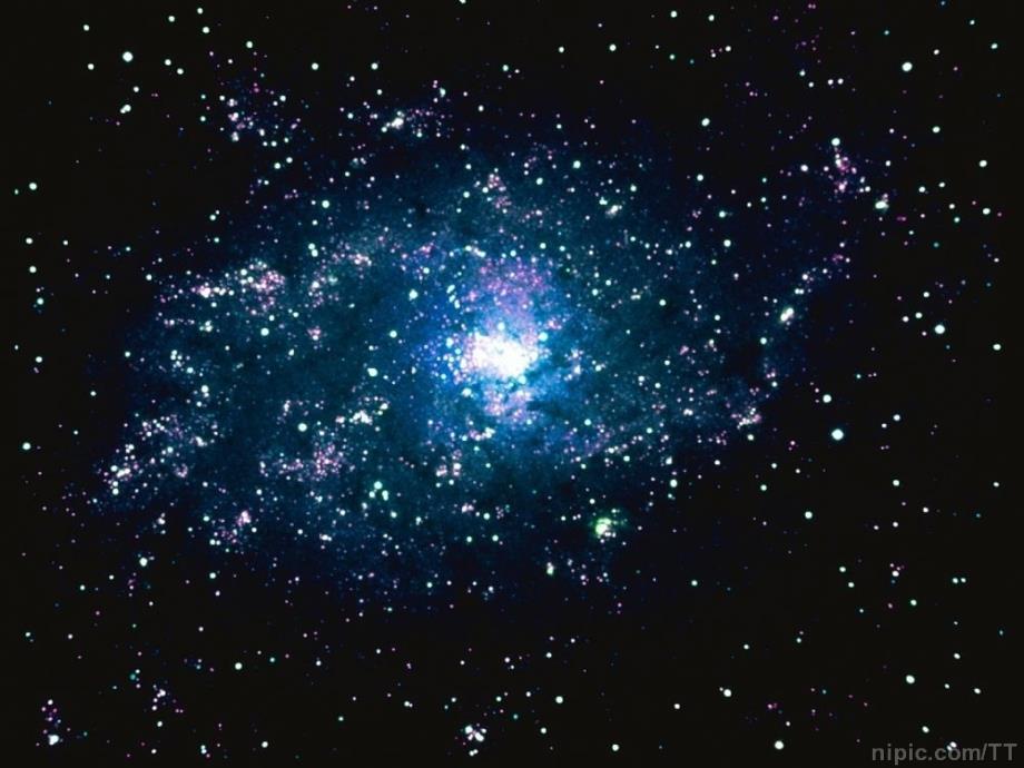 叫三声夸克好_第1页