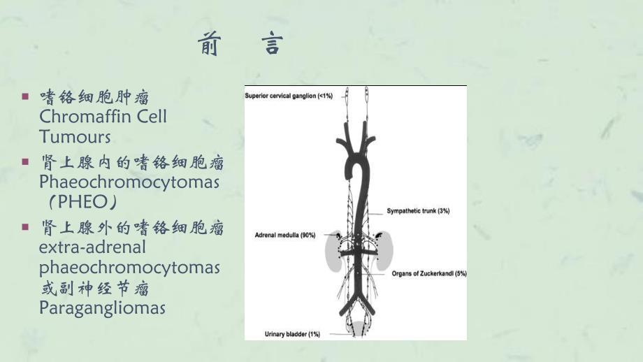 嗜铬细胞瘤的诊治进展课件_第2页