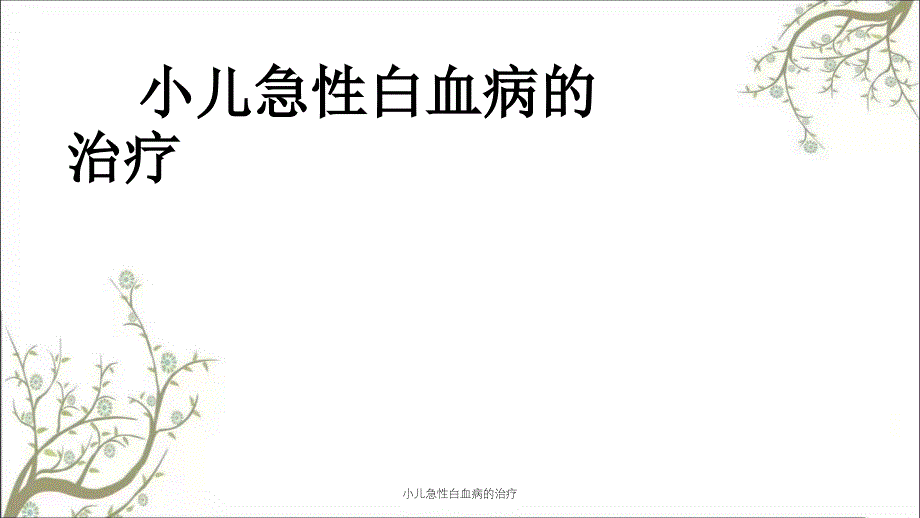 小儿急性白血病的治疗_第1页